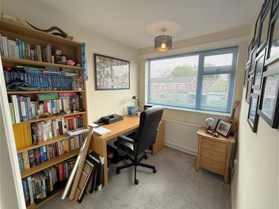 Picture 19
